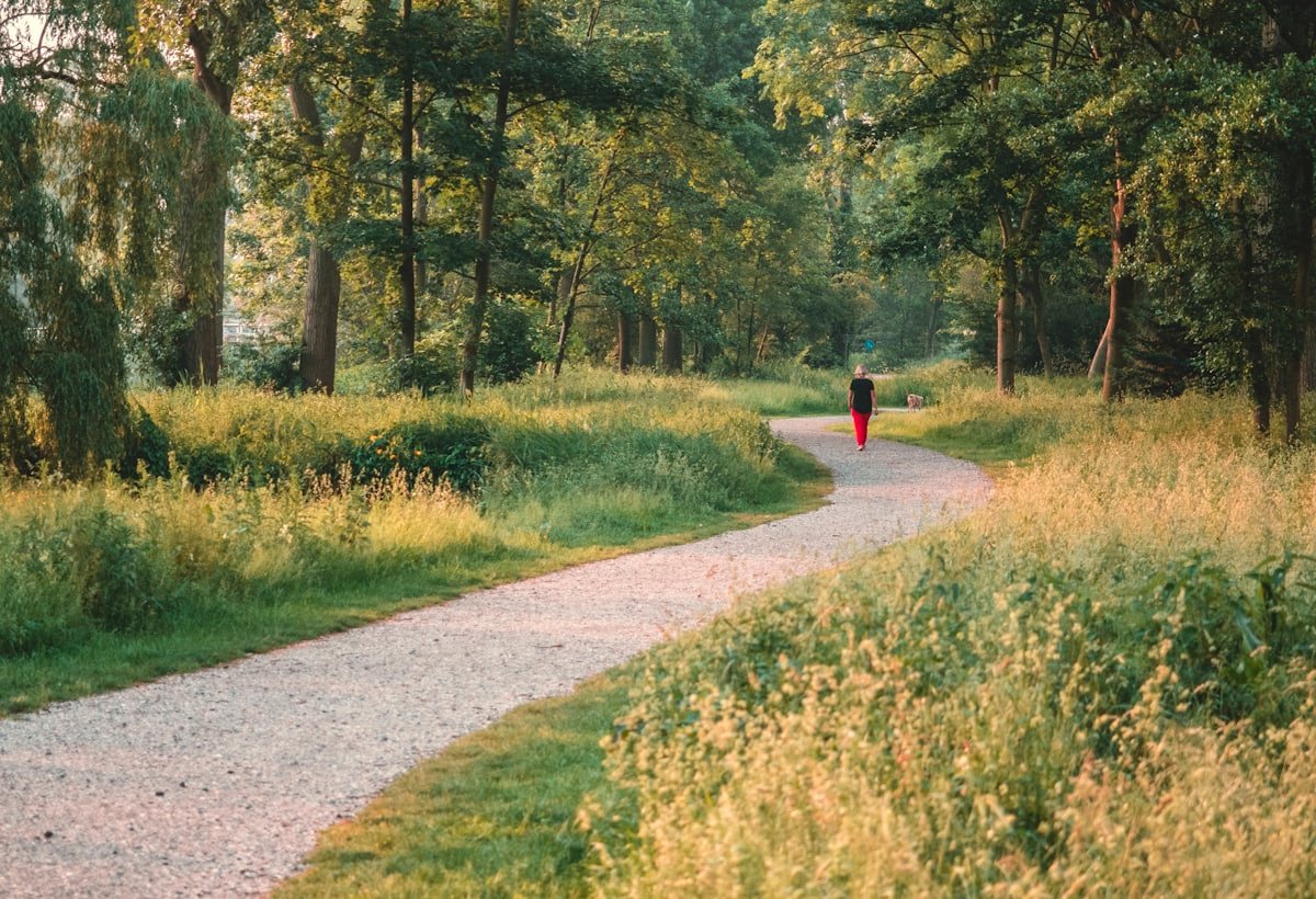 Landscaped grounds and walking paths